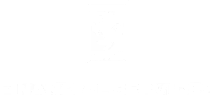 Ferrari Financial Services